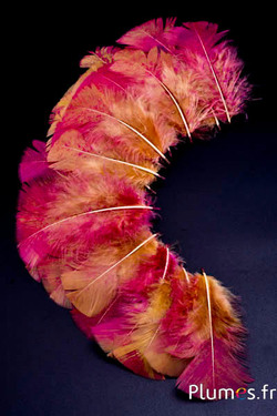 Dinde mouchetée couleur fuchsia - 6-8 cm - curry